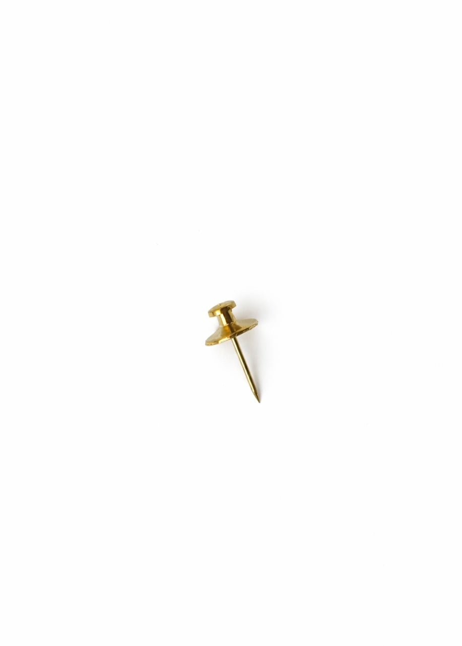 Decorative Gold Hanging Nail