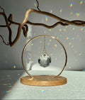 A clear, faceted crystal prism sphere hangs by a delicate gold chain within a circular brass frame, titled "The Circle." The suncatcher is mounted on a smooth, light oak wooden base. Sunlight passes through the crystal, scattering vibrant rainbow light leaks and spectrum dots across a white background and onto gnarled, aesthetic tree branches. The scene is bright, minimalist, and serene.