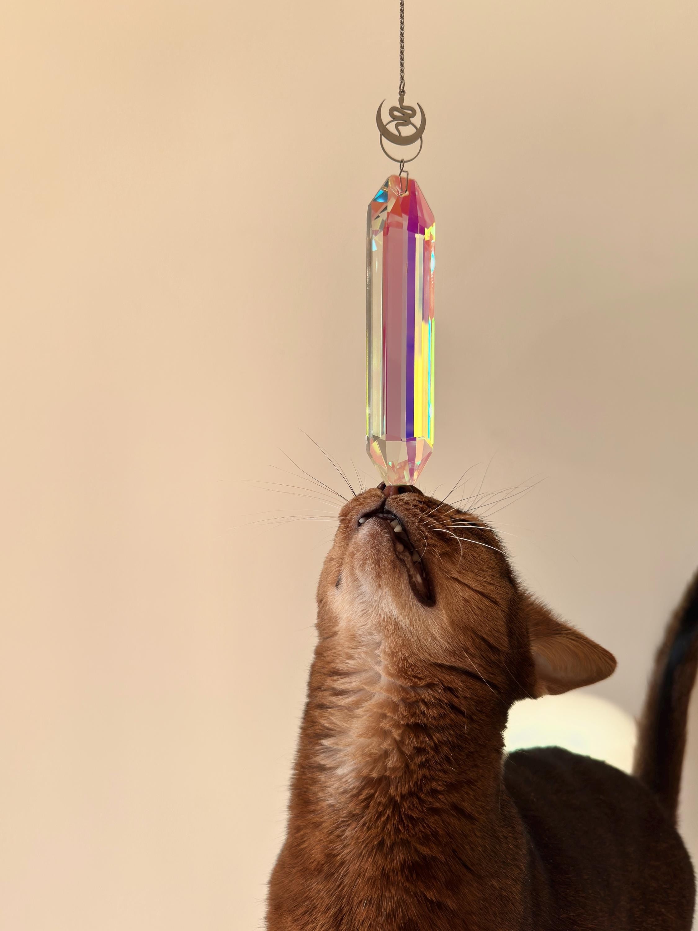 Alchemist's Shadow celestial suncatcher (Sonnenfänger) with a silver snake and moon charm, featuring a 12cm Aurora crystal casting rainbows (Regenbogen).