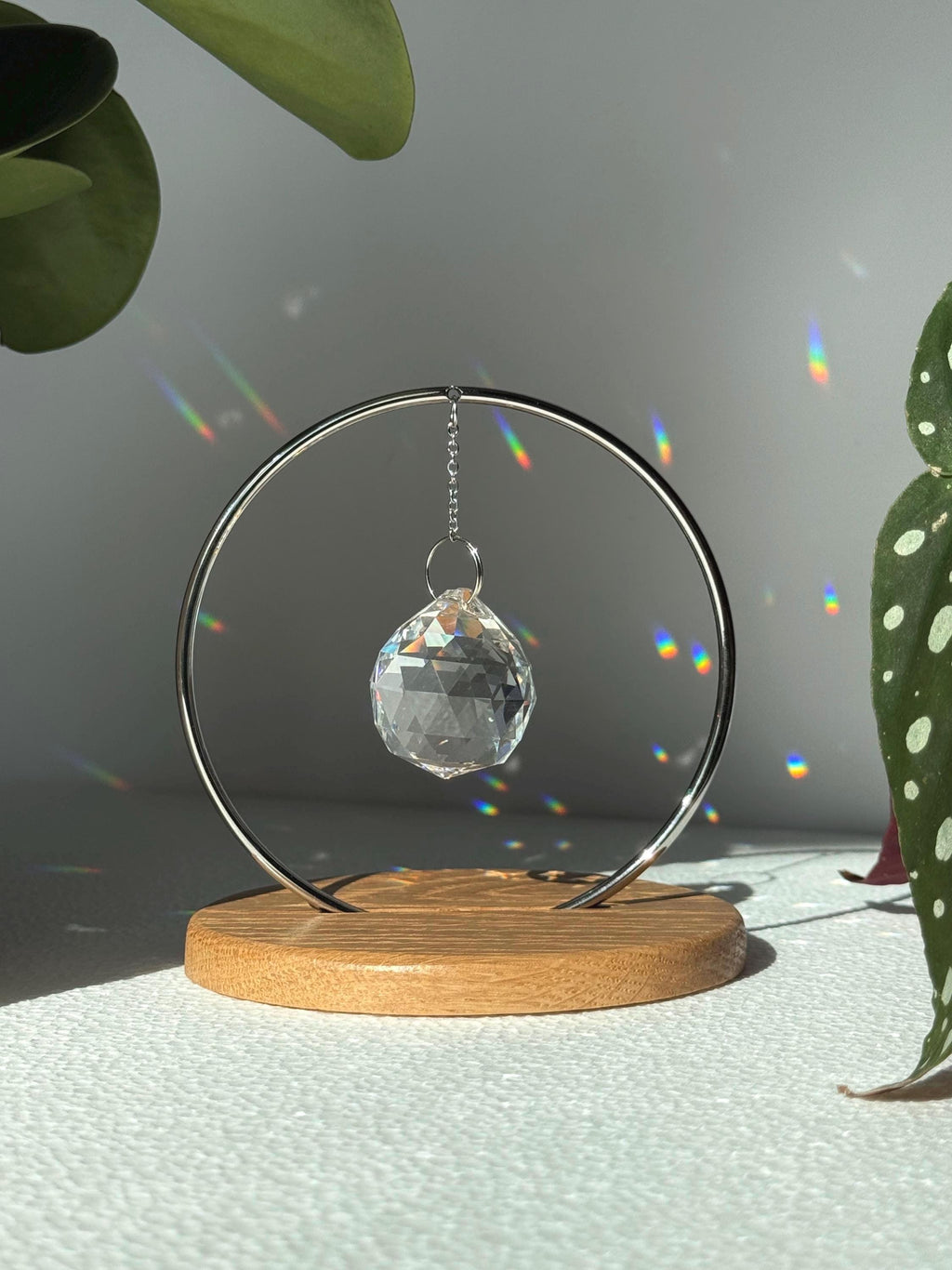 Minimalist "The Circle" tabletop suncatcher featuring a faceted crystal prism hanging inside a stainless steel ring on a round American oak base, casting vibrant rainbows on a white wall.